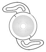 RayOne Trifocal Toric