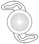 RayOne Trifocal