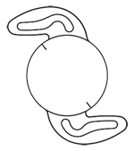 T-flex