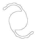 Sulcoflex - Aspheric